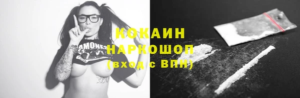 индика Зеленокумск