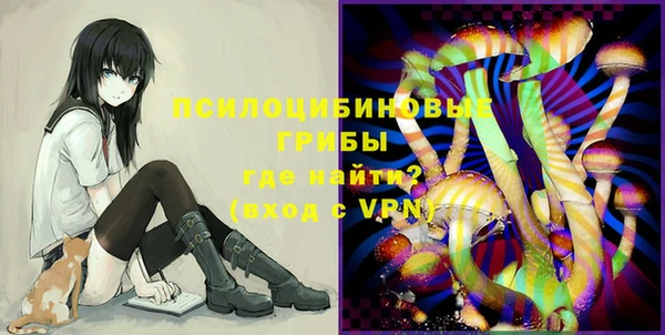 индика Зеленокумск