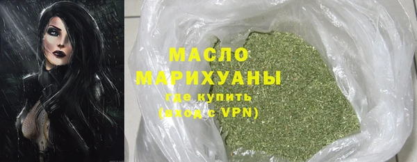 индика Зеленокумск